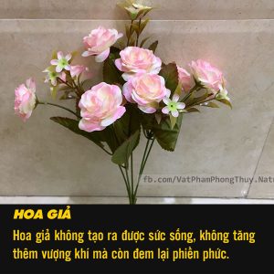 hoa gia 1