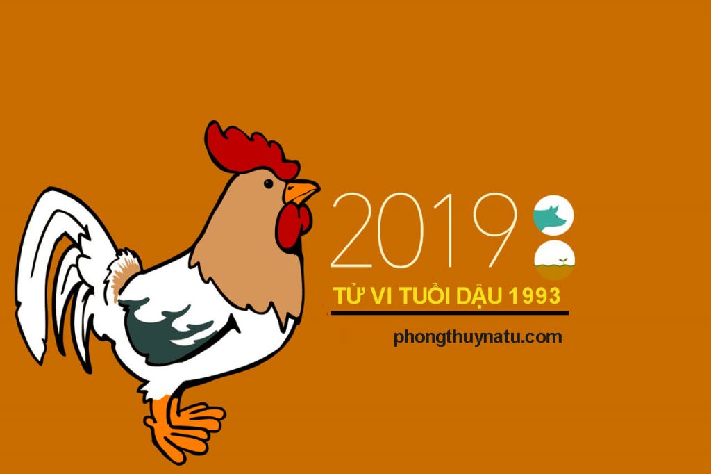 Tử vi quý dậu 1993 năm 2019