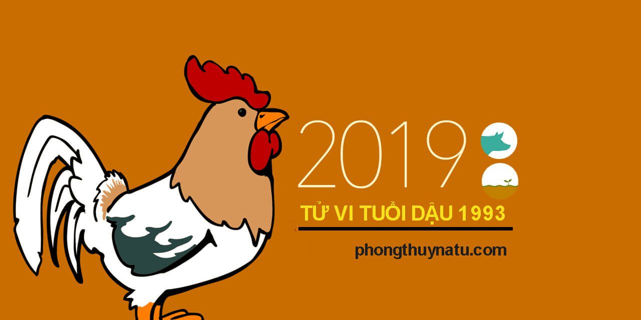 Tử vi quý dậu 1993 năm 2019