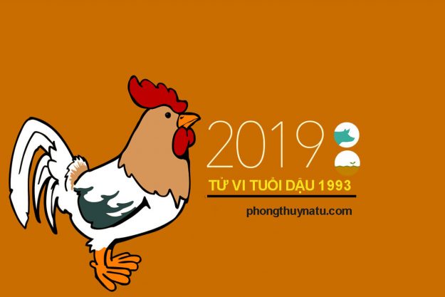 Tử vi quý dậu 1993 năm 2019