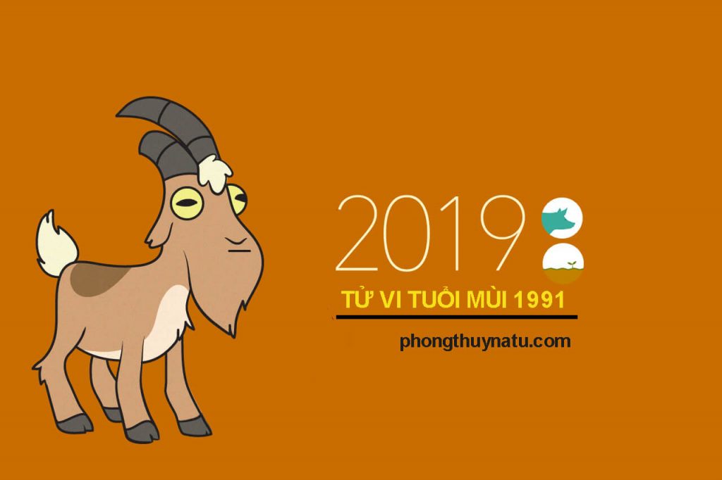 tử vi tân mùi 1991 năm 2019