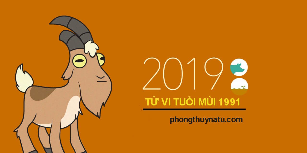 tử vi tân mùi 1991 năm 2019