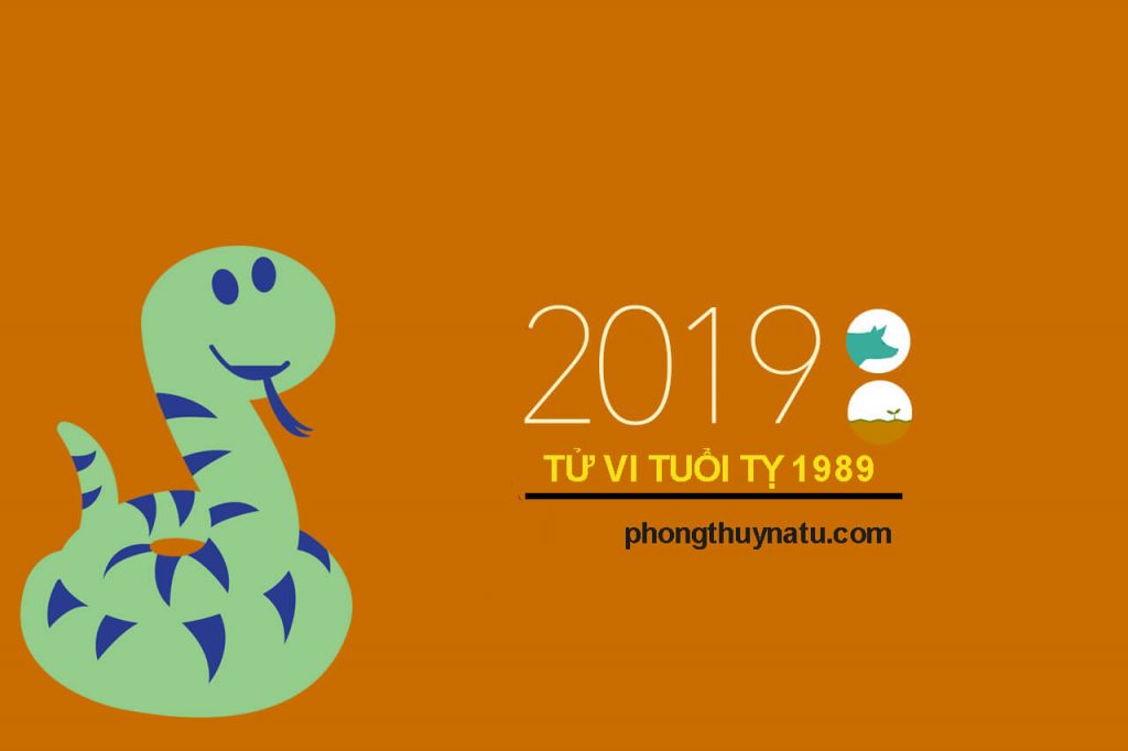 TỬ VI KỶ TỴ 1989 NĂM 2019 NĂM ĐẦU TAM TAI KHÓ TRÁNH