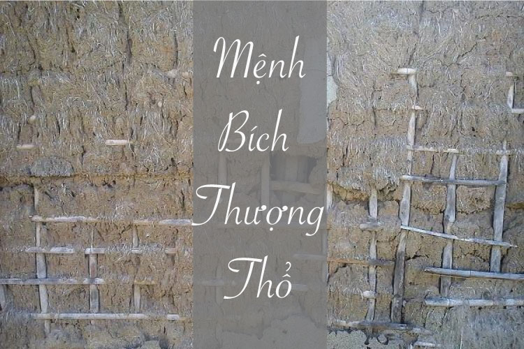 menh bich thuong tho