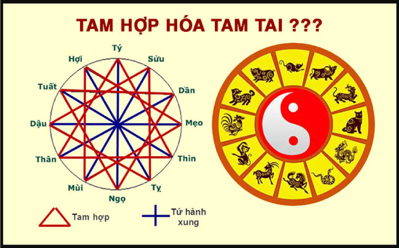 tam hop hoa tam tai 1