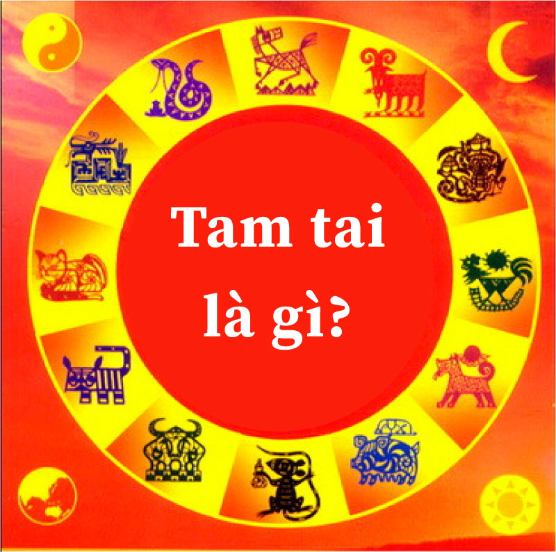 tam tai la gi